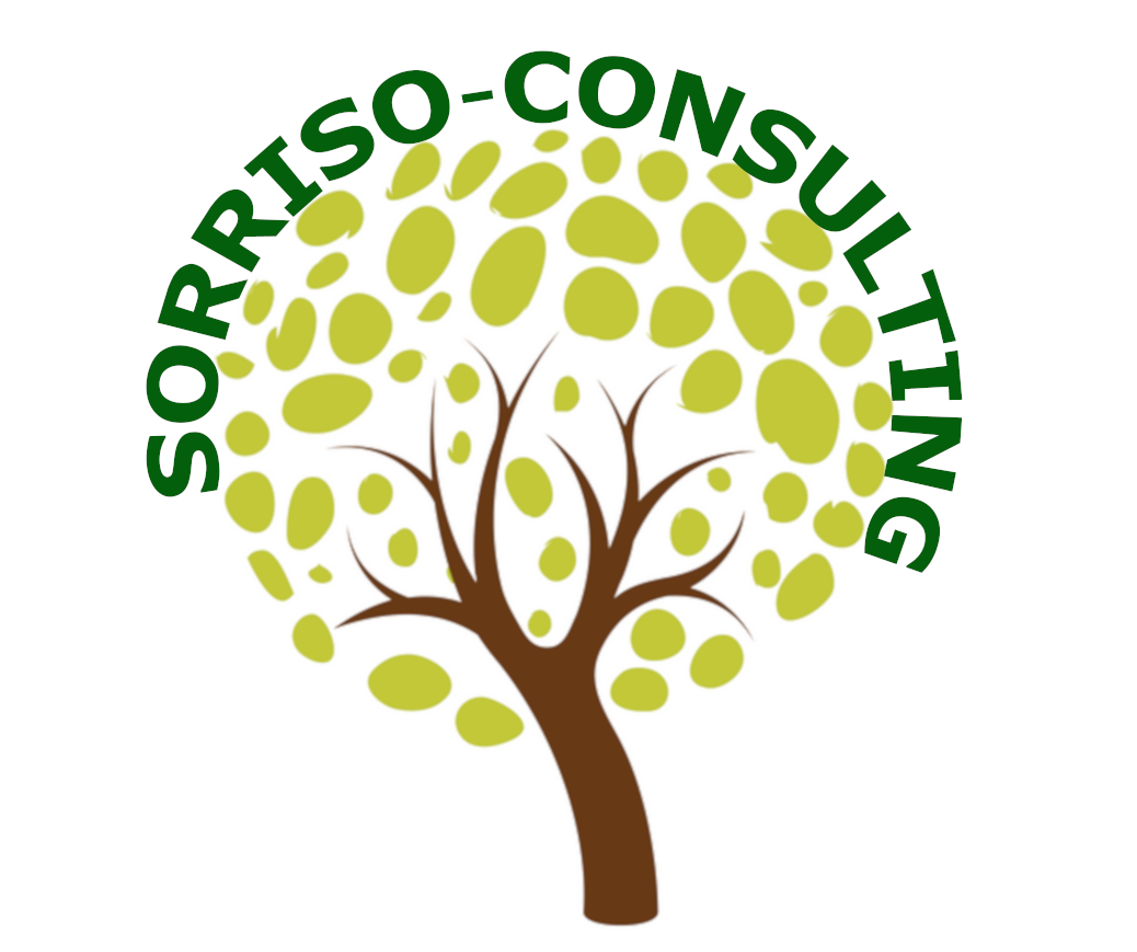 SORRISO - Consulting